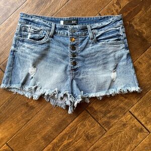 Kut from the Kloth Jane Short